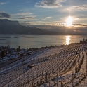 Fin de journée dans le Lavaux - 011